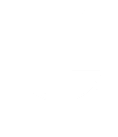 American Academy of Craniofacial Pain logo