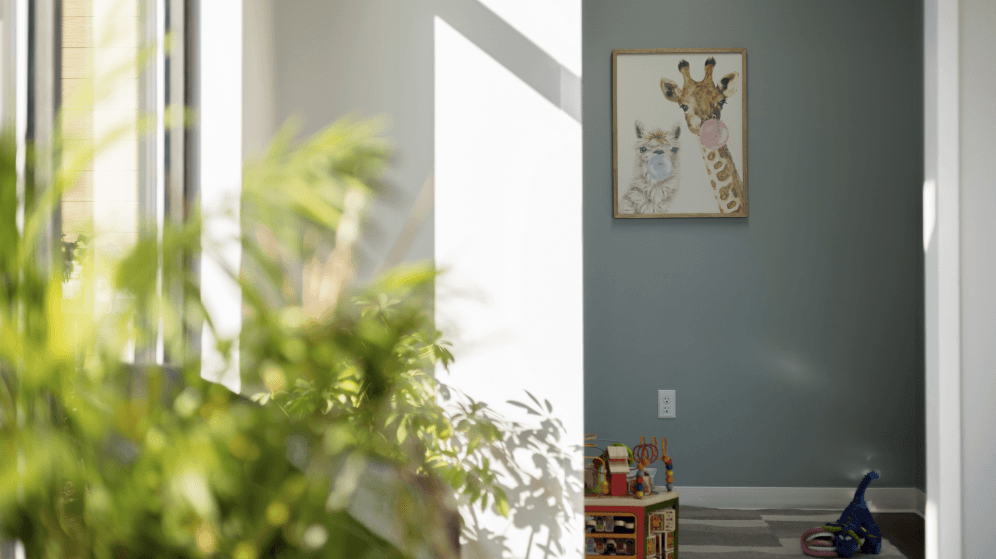 Mankato Minnesota dental office waiting room